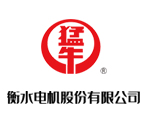 04衡水电机
